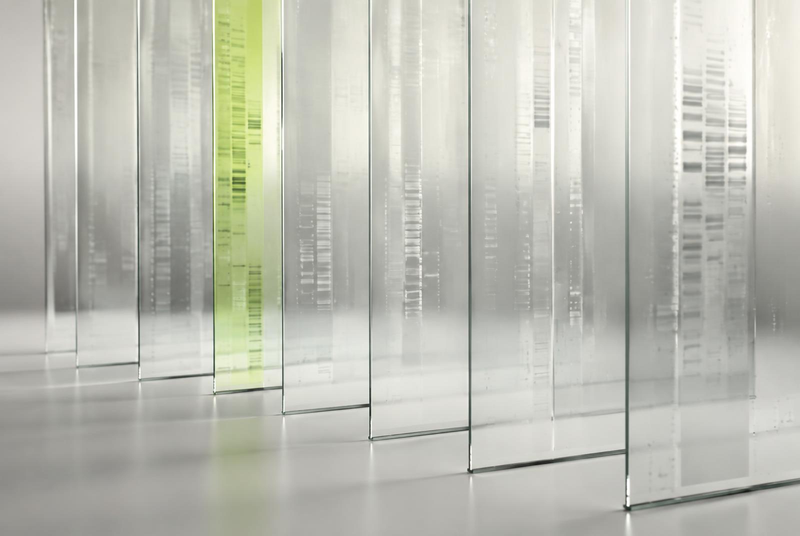 Abstract photograph of upright glass panels with faint diagnostic line patterns, one panel lit in lime green